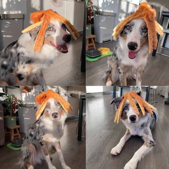 Squeaky Dog Toys - Octopus No Stuffing Crinkle Plush Large Dog Toys to Keep Them - Picture 8 of 9